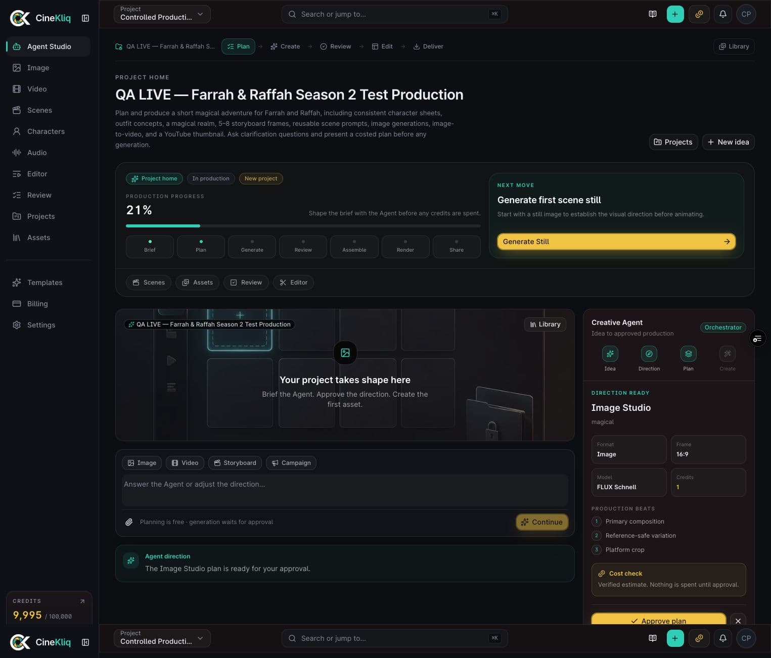 Rough brief shown inside the real CineKliq application
